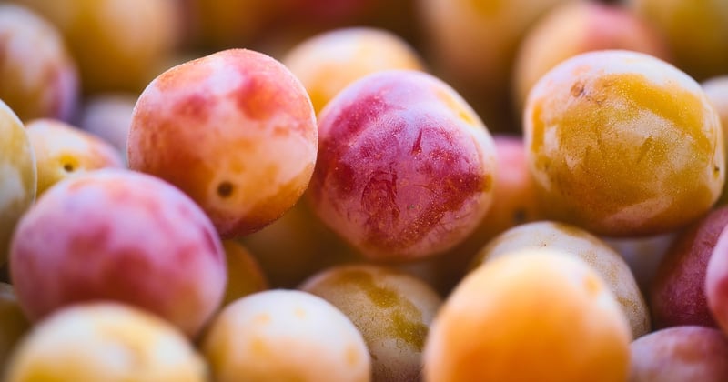 Tarte aux fruits de saison facile à préparer : 15 recettes gourmandes qui vont vous simplifier la vie