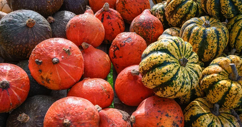 Contraintes alimentaires : ce que les listes de recettes oublient souvent